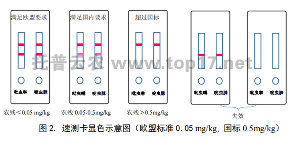 茶叶农残速测卡显色示意图