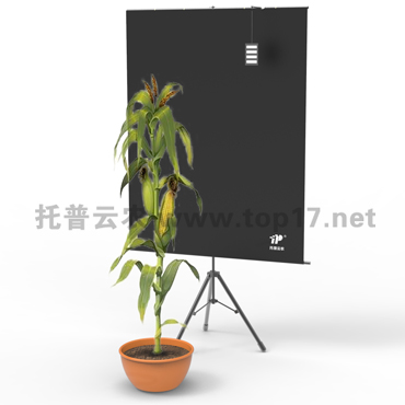 玉米株型分析系统 tpmt-x-1