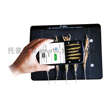稻穗形态测量仪 tpds-x-1