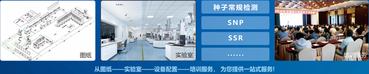 一站式种子检验