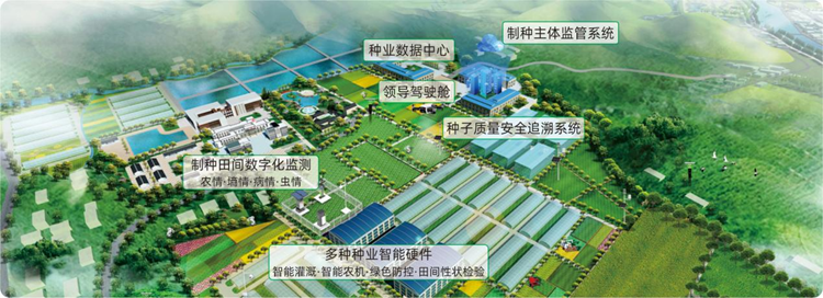 信息化种业基地
