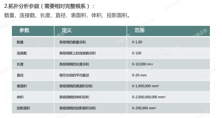 根系分析仪拓扑分析参数