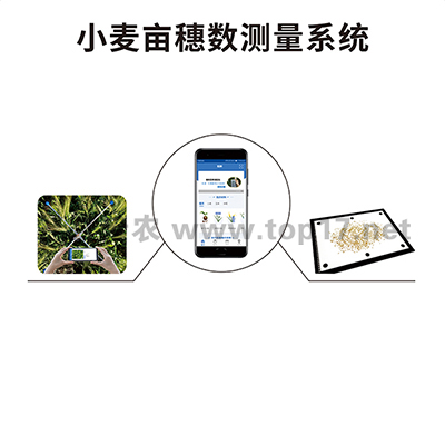 小麦亩穗数测量系统 tpms-1