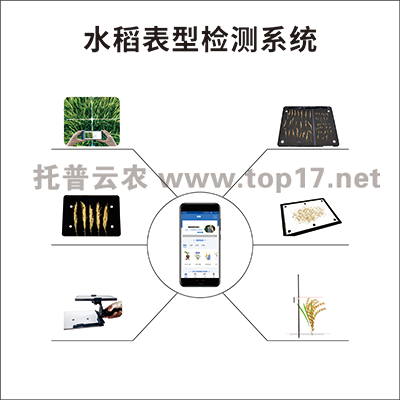 水稻表型检测系统 tps-bx-1
