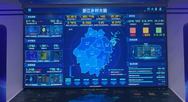 浙江乡村大脑