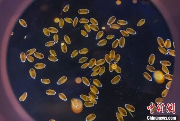 托普云农智能农业仪器受到与会媒体关注