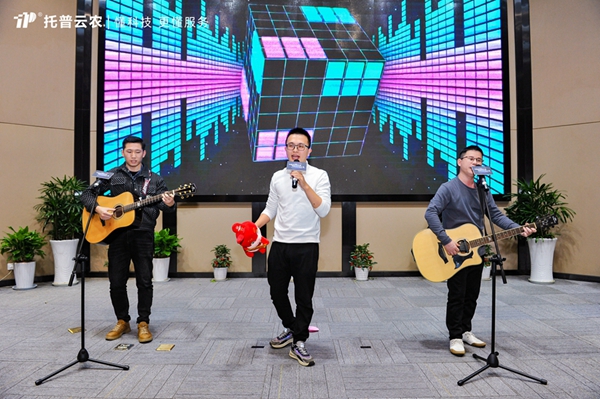吉他表演