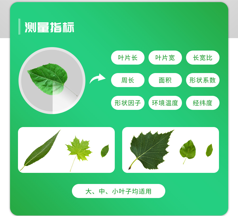 便携式叶面积仪/手持叶面积测定仪