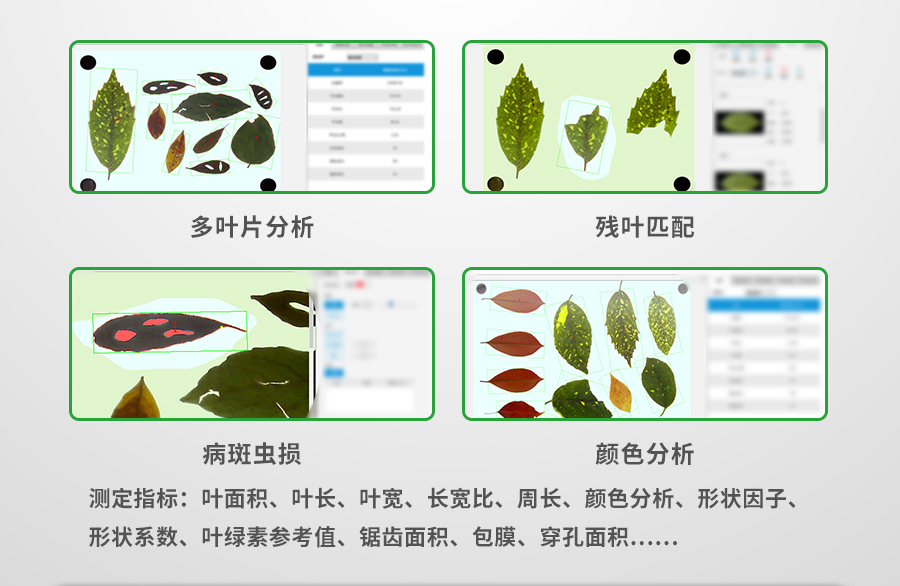 植物叶面积测量仪