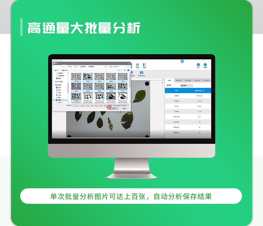 植物叶面积测量仪