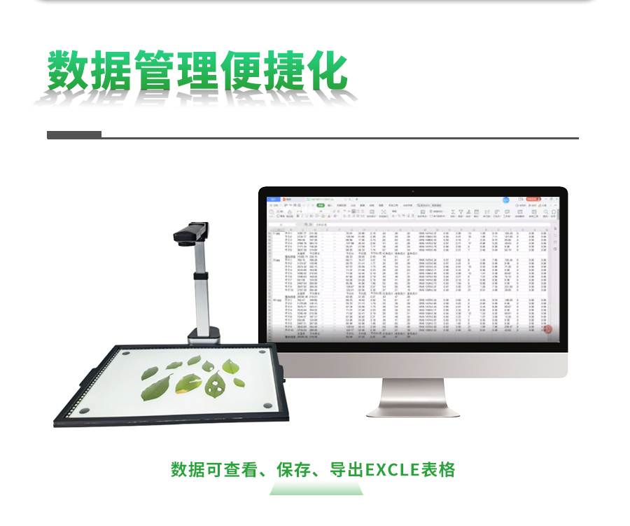 植物叶面积测量仪