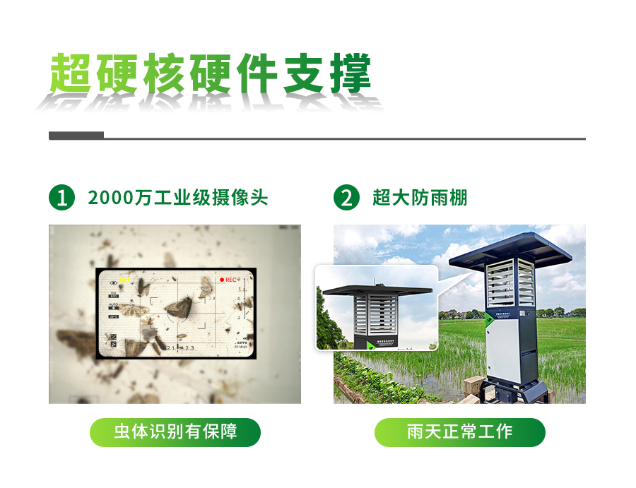 智能虫情测报灯