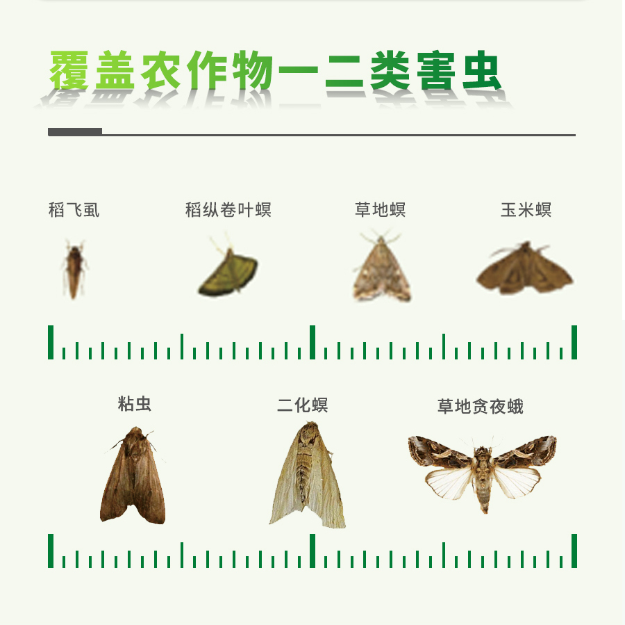 智能虫情测报灯