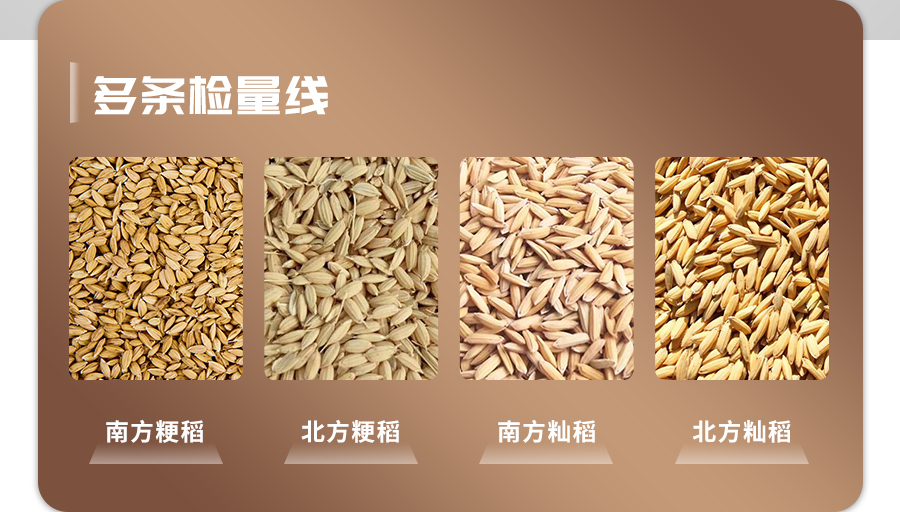 稻谷新鲜度测定仪