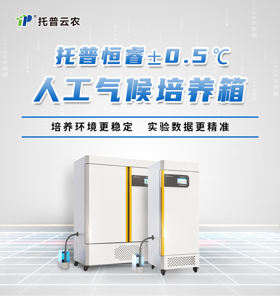 智能人工气候箱