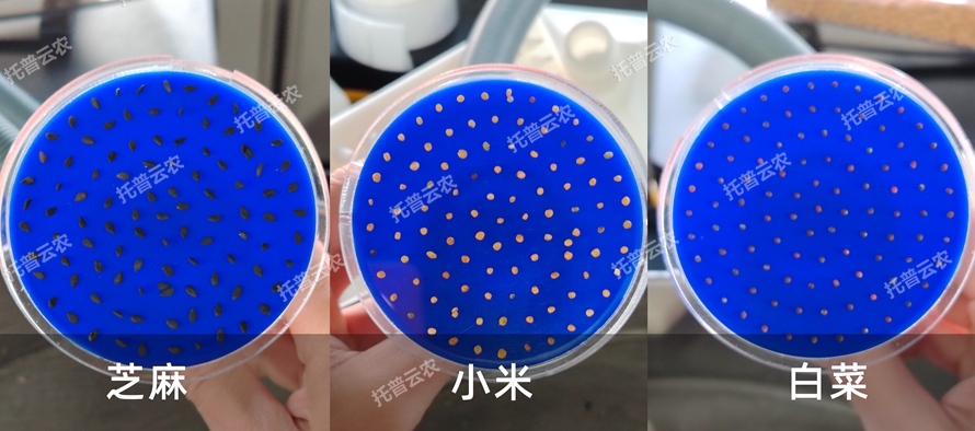 真空置床系统