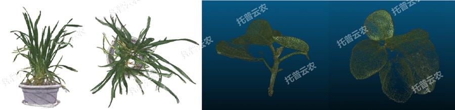 温室型高通量植物表型采集分析平台-3维