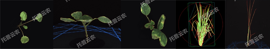 逆境模拟及植物生长监测平台-2维