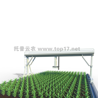 田间轨道式高通量植物表型分析平台 轨道式